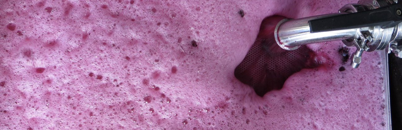 foaming fermentation