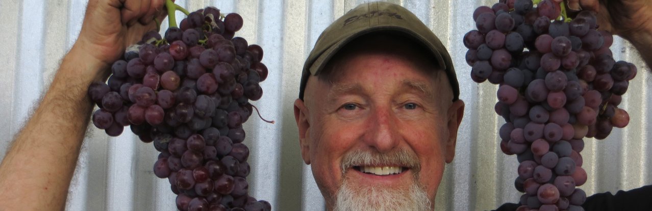 Frick holding up large grape clusters