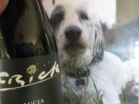 photo of Lucia (the dog) behind a bottle of Lucia (the wine).